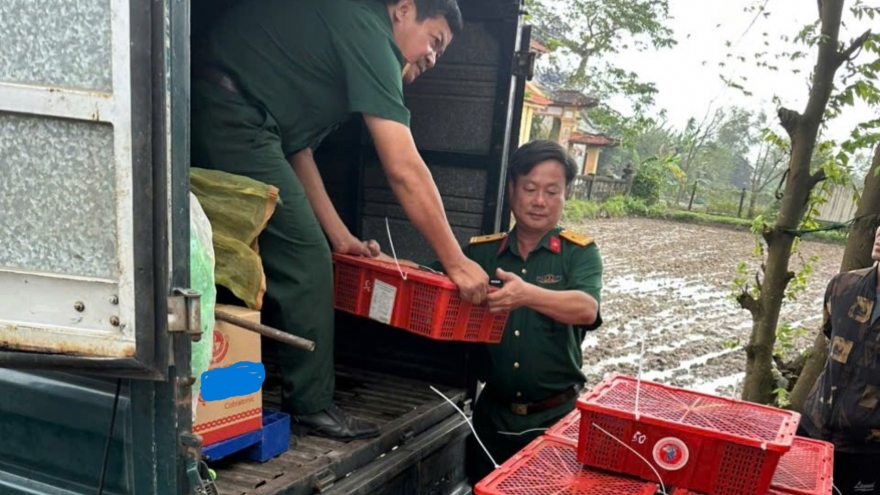 Quảng Trị bàn giao hơn 670 con rắn hổ mang cho Trại rắn Đồng Tâm